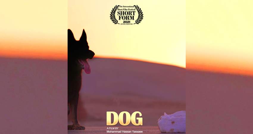 فیلم کوتاه «سگ» در جشنواره ShortForm صربستان