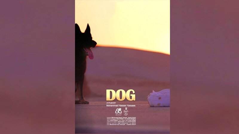 نمایش «سگ» در سه جشنواره بین‌المللی